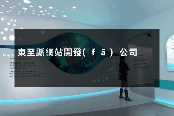 東至縣網站開發(fā)公司