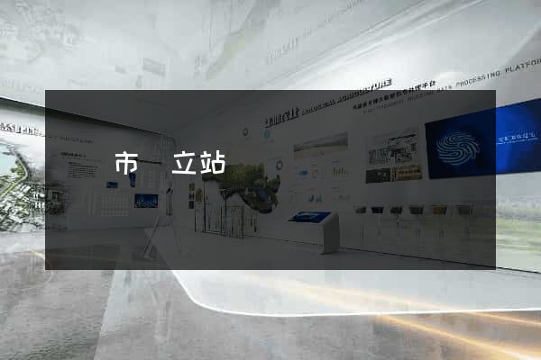東臺市獨立站運營