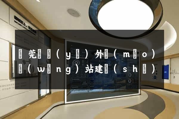 東莞專業(yè)外貿(mào)網(wǎng)站建設(shè)