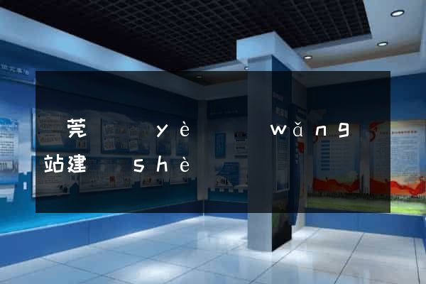 東莞專業(yè)網(wǎng)站建設(shè)
