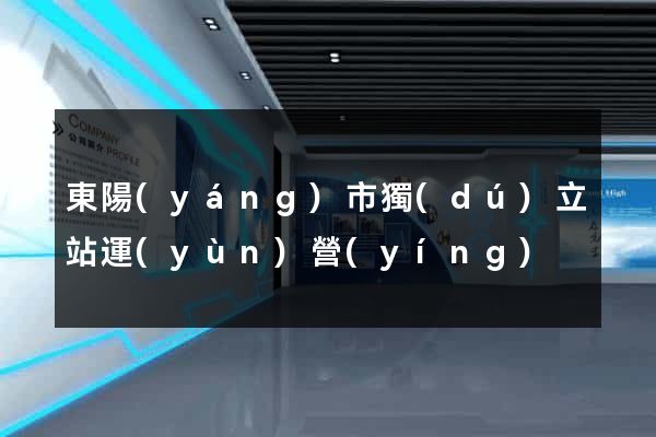 東陽(yáng)市獨(dú)立站運(yùn)營(yíng)
