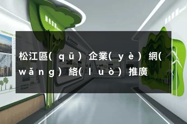 松江區(qū)企業(yè)網(wǎng)絡(luò)推廣