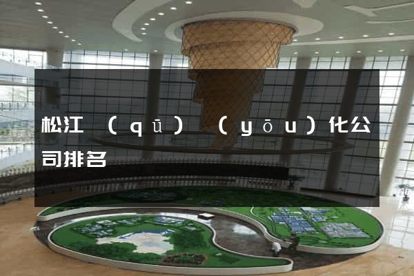 松江區(qū)優(yōu)化公司排名