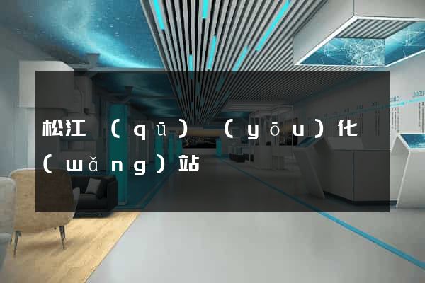 松江區(qū)優(yōu)化網(wǎng)站