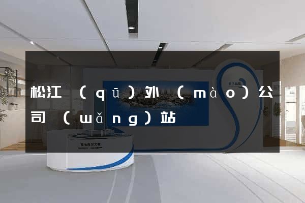 松江區(qū)外貿(mào)公司網(wǎng)站
