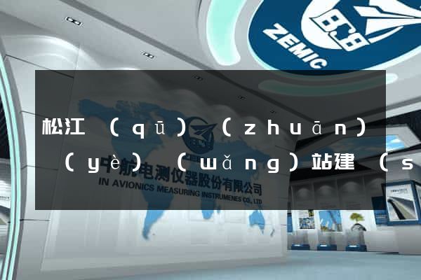 松江區(qū)專(zhuān)業(yè)網(wǎng)站建設(shè)