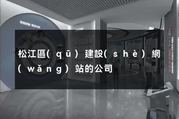 松江區(qū)建設(shè)網(wǎng)站的公司