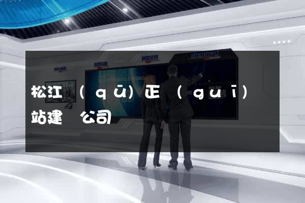 松江區(qū)正規(guī)網站建設公司