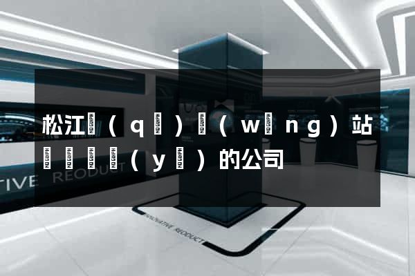 松江區(qū)網(wǎng)站設計專業(yè)的公司