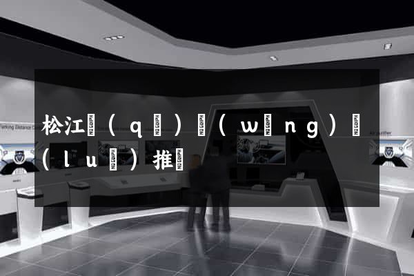 松江區(qū)網(wǎng)絡(luò)推廣