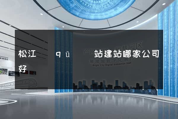 松江區(qū)網站建站哪家公司好