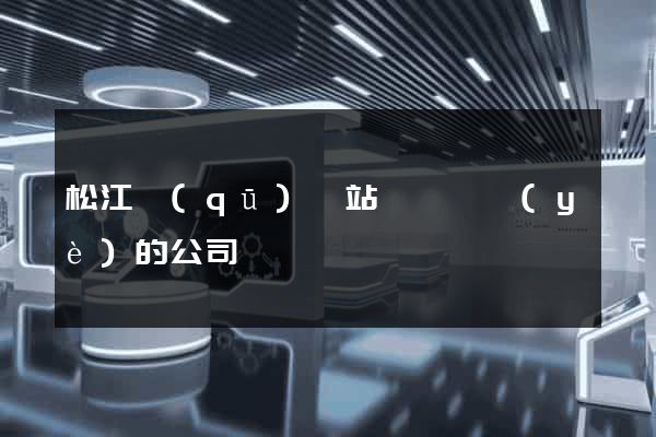 松江區(qū)網站設計專業(yè)的公司