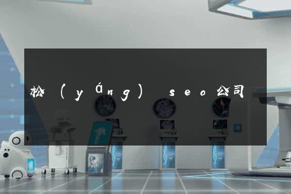 松陽(yáng)縣seo公司