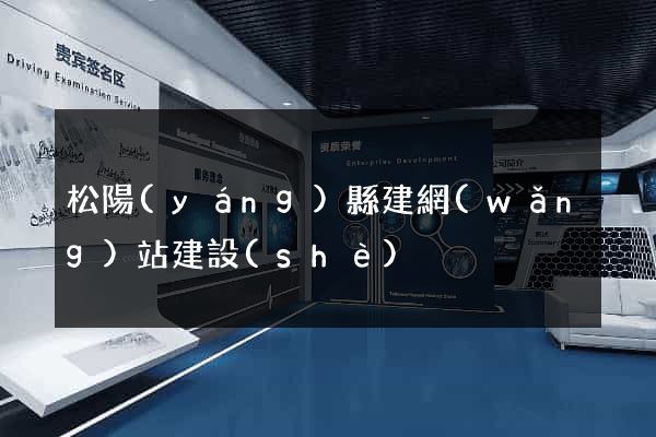 松陽(yáng)縣建網(wǎng)站建設(shè)
