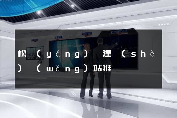 松陽(yáng)縣建設(shè)網(wǎng)站推廣