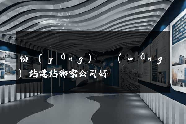 松陽(yáng)縣網(wǎng)站建站哪家公司好