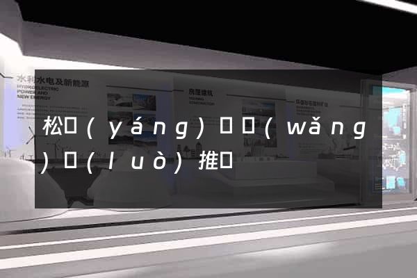 松陽(yáng)縣網(wǎng)絡(luò)推廣