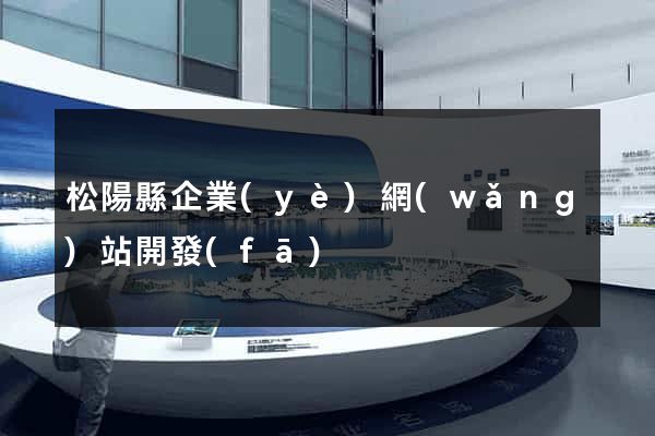 松陽縣企業(yè)網(wǎng)站開發(fā)