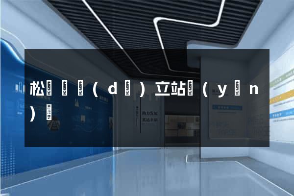 松陽縣獨(dú)立站運(yùn)營