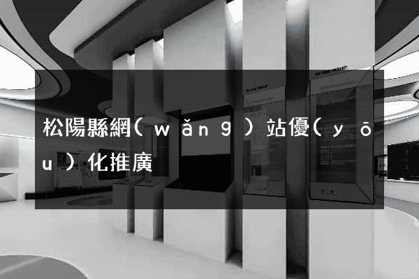 松陽縣網(wǎng)站優(yōu)化推廣