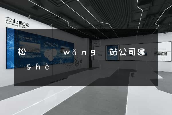 松陽縣網(wǎng)站公司建設(shè)
