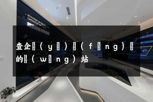 查企業(yè)風(fēng)險的網(wǎng)站