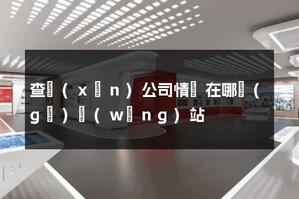 查詢(xún)公司情況在哪個(gè)網(wǎng)站