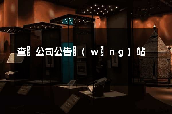 查詢公司公告網(wǎng)站