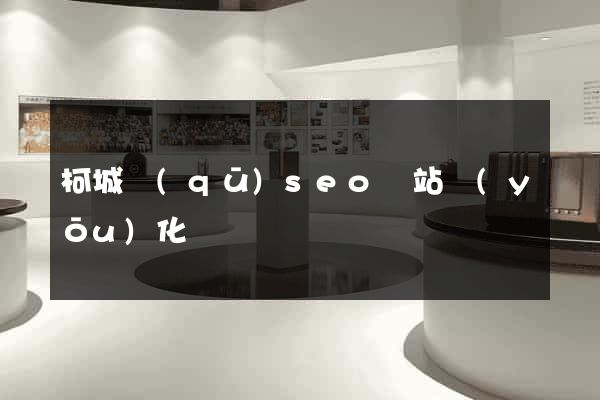 柯城區(qū)seo網站優(yōu)化