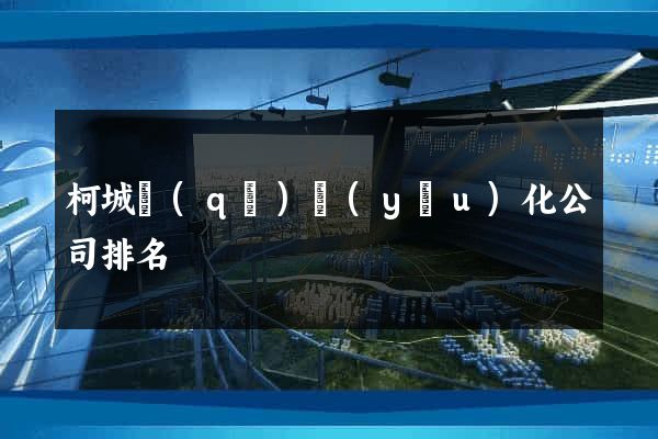 柯城區(qū)優(yōu)化公司排名