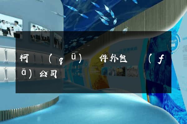 柯橋區(qū)軟件外包開發(fā)公司