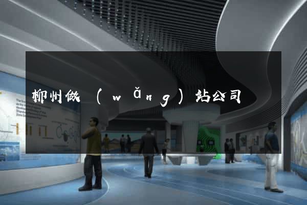 柳州做網(wǎng)站公司