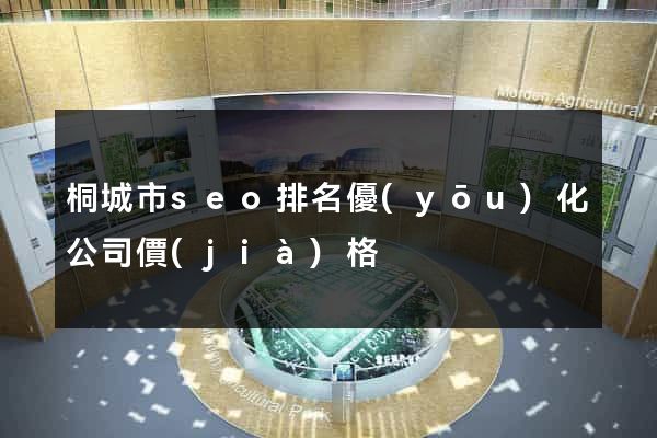 桐城市seo排名優(yōu)化公司價(jià)格