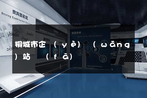 桐城市企業(yè)網(wǎng)站開發(fā)