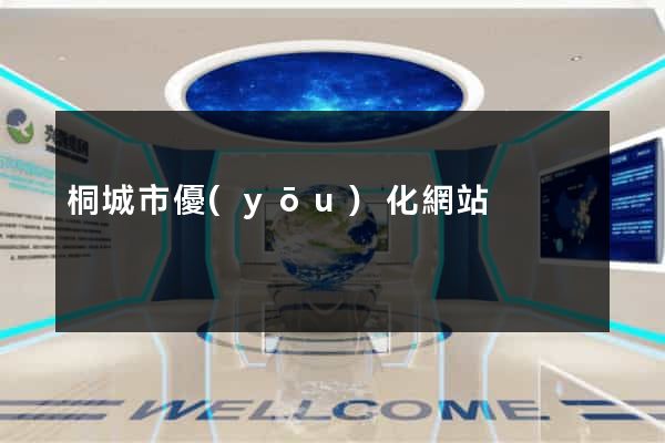 桐城市優(yōu)化網站