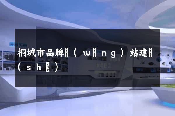 桐城市品牌網(wǎng)站建設(shè)