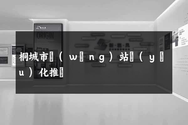 桐城市網(wǎng)站優(yōu)化推廣