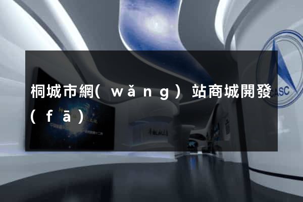 桐城市網(wǎng)站商城開發(fā)