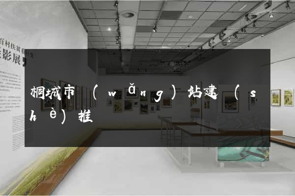 桐城市網(wǎng)站建設(shè)推廣