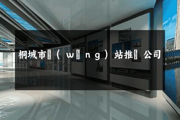 桐城市網(wǎng)站推廣公司