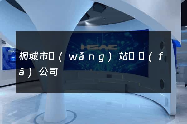 桐城市網(wǎng)站開發(fā)公司