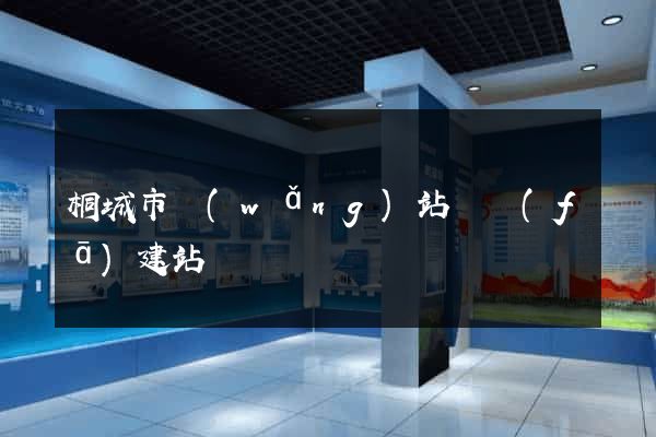 桐城市網(wǎng)站開發(fā)建站