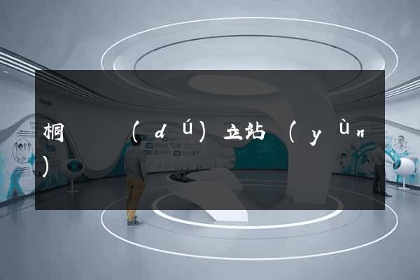 桐廬縣獨(dú)立站運(yùn)營