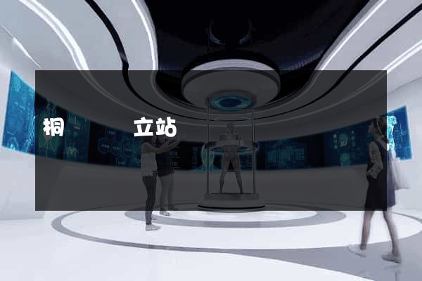 桐廬縣獨立站運營