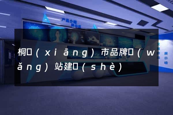 桐鄉(xiāng)市品牌網(wǎng)站建設(shè)
