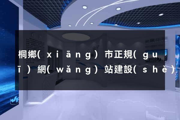 桐鄉(xiāng)市正規(guī)網(wǎng)站建設(shè)公司