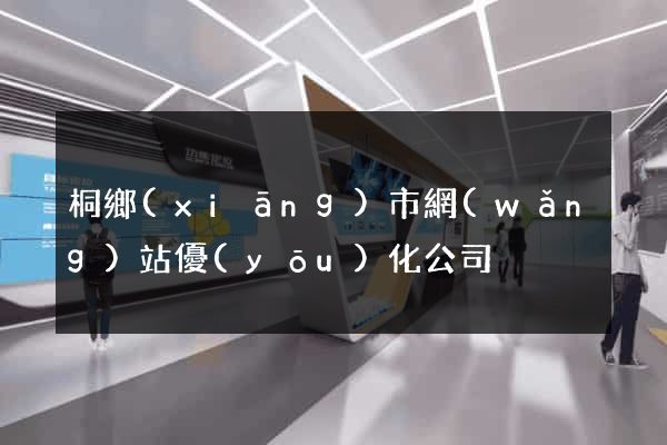 桐鄉(xiāng)市網(wǎng)站優(yōu)化公司