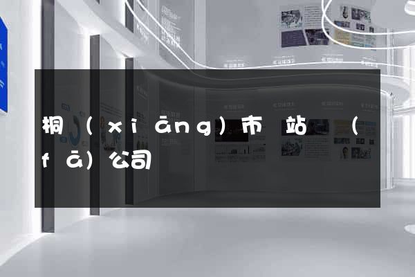桐鄉(xiāng)市網站開發(fā)公司
