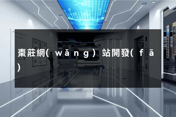 棗莊網(wǎng)站開發(fā)