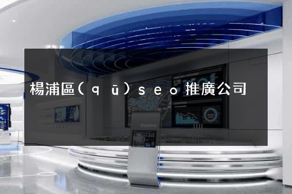 楊浦區(qū)seo推廣公司